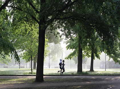 running woods nature