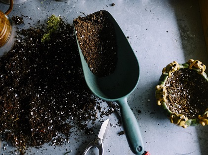 soil gardening planting garden